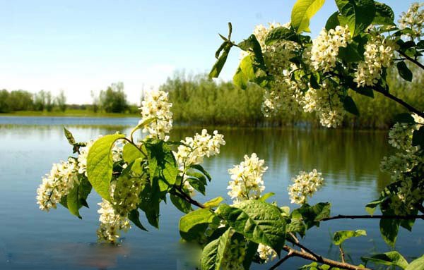 Тепло истории моей