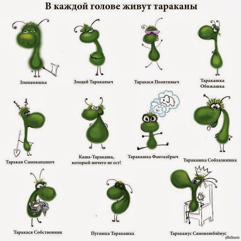 О тараканах