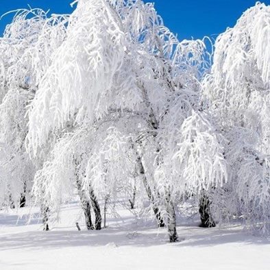 Снежная метель