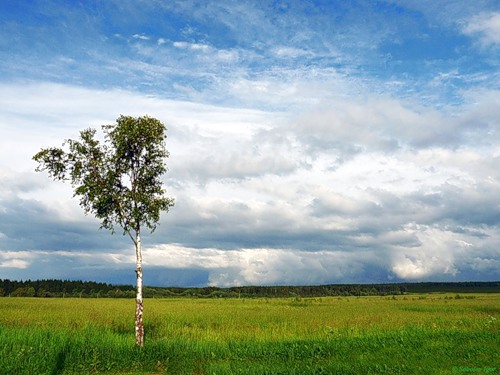 126. Спесь и сало