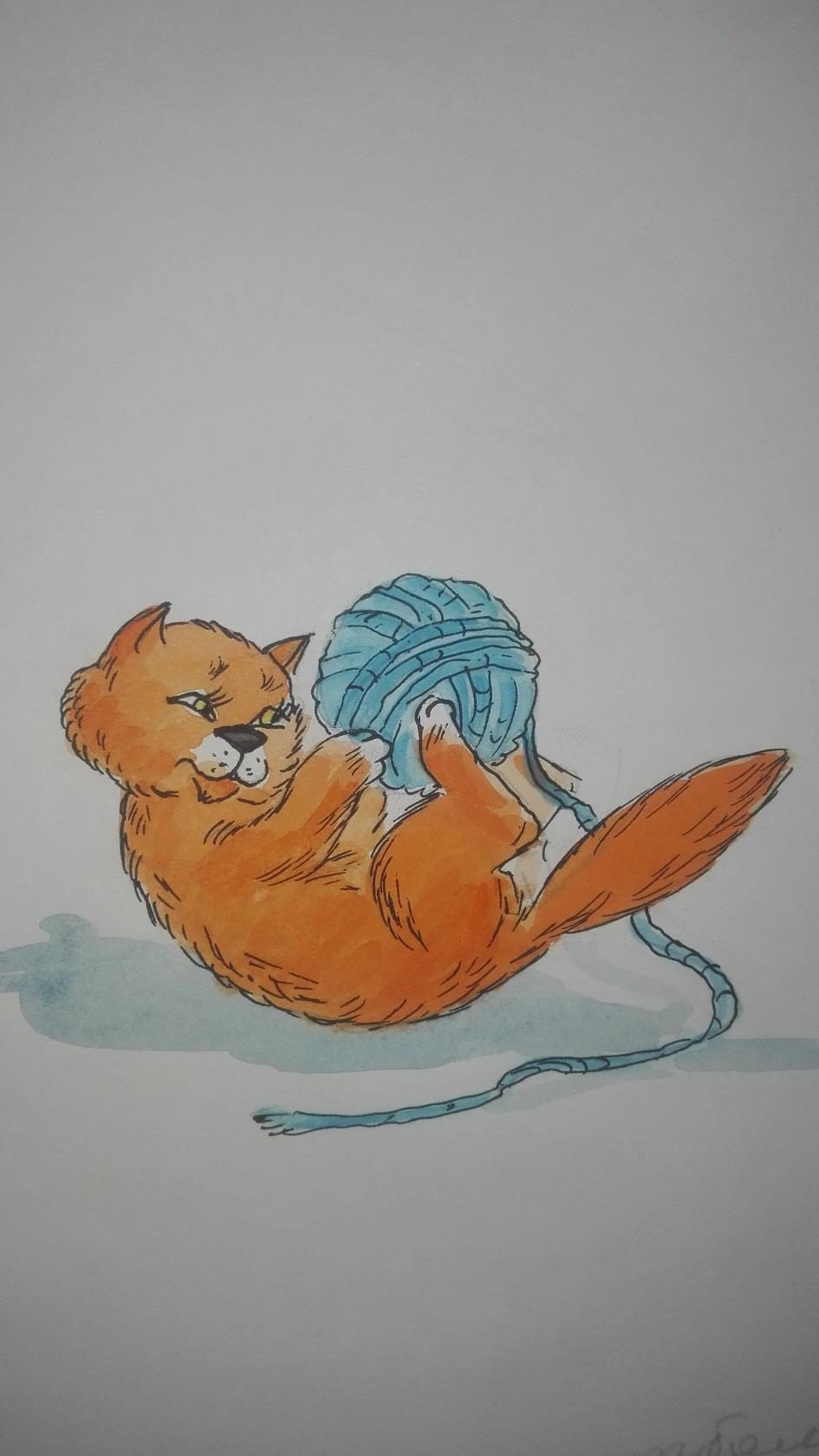 Котенок футболист