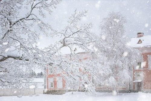 Серебро 2017!