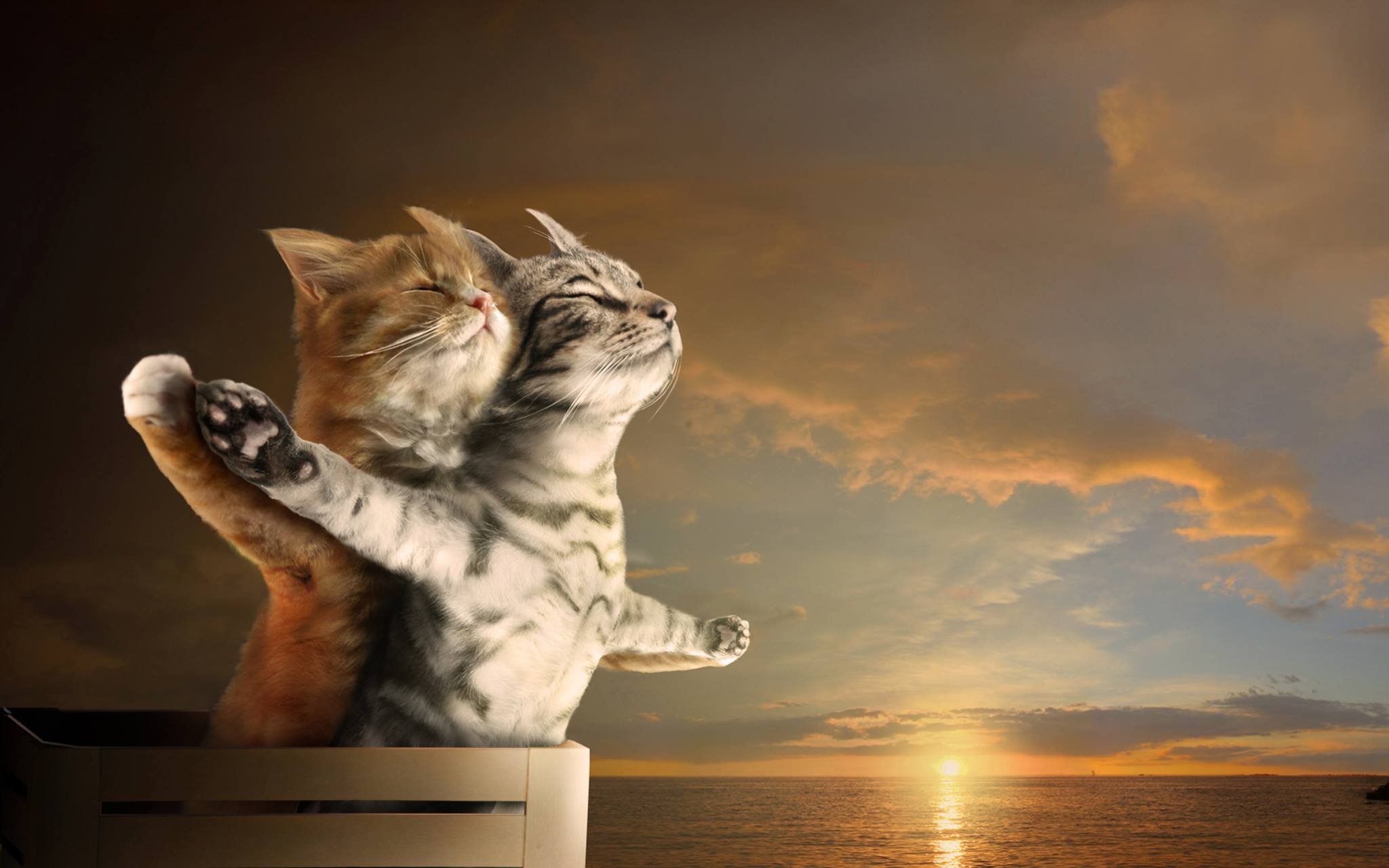 Тебя нет лучше, я в восторге