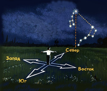 3457 Больше жизни цикл