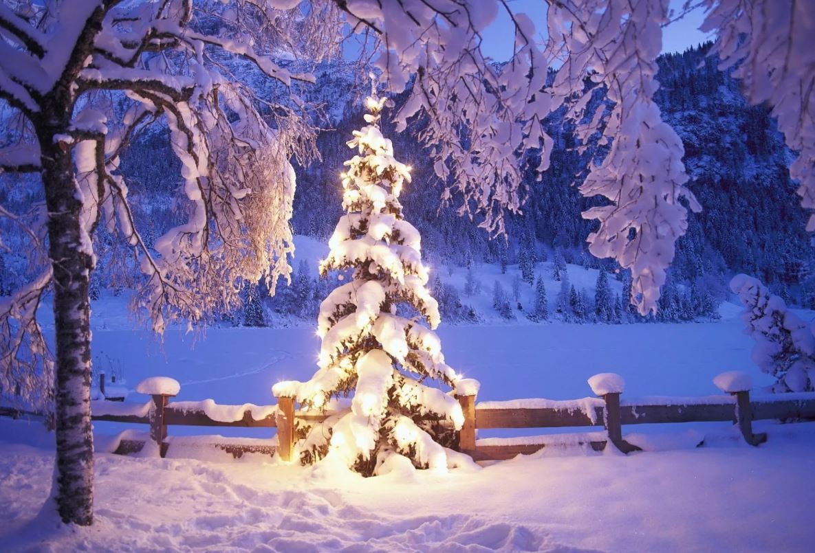Ждем Новый год!