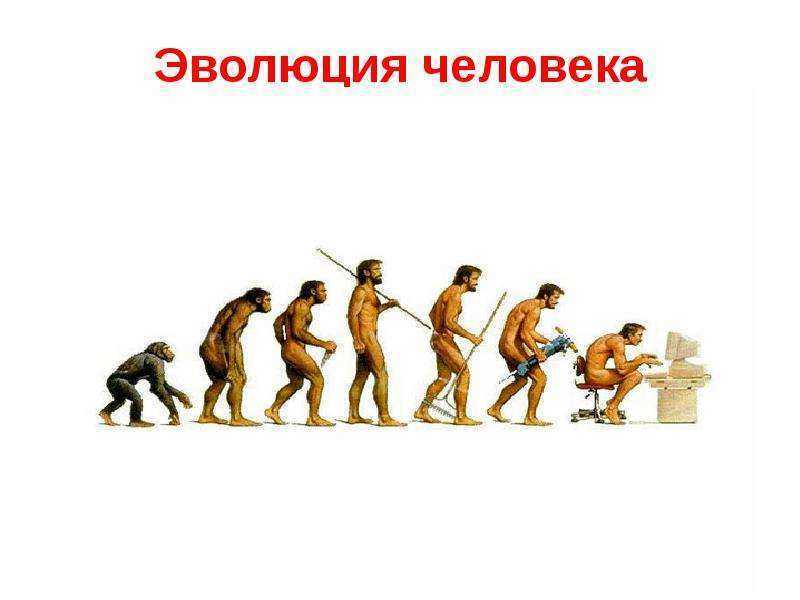 Эволюция - 50. Акростих