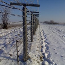 С Новым годом отряд