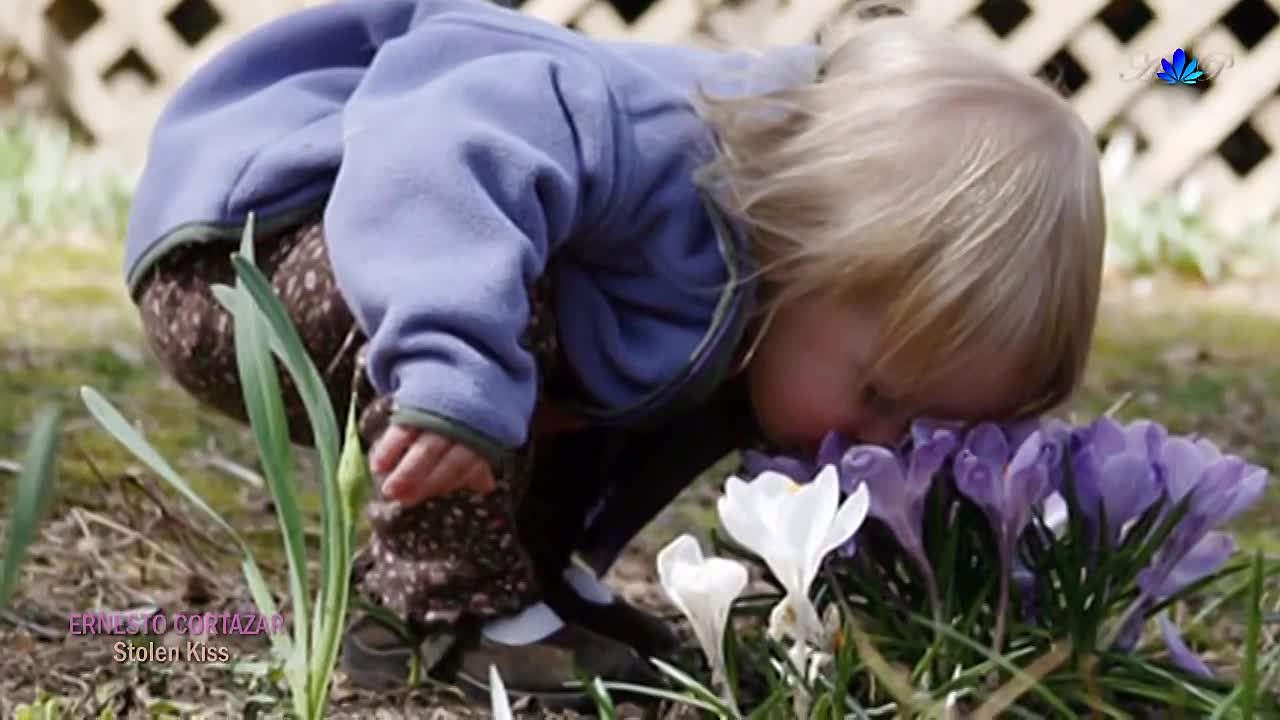 Весёлая гимнастика для глазок