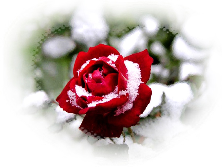 Поздняя весна