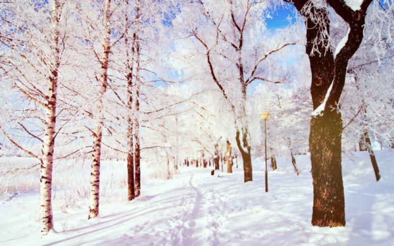 10. Зимний приветик