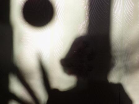 Из бытности рисованных Лун