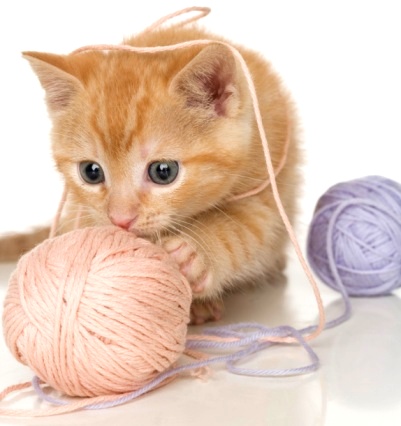 С малепусиком на пару