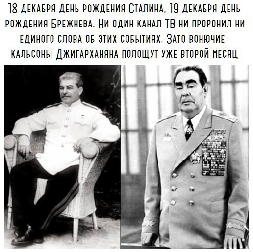 Прачки-еноты