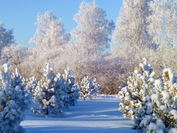 Снега, как белые холсты