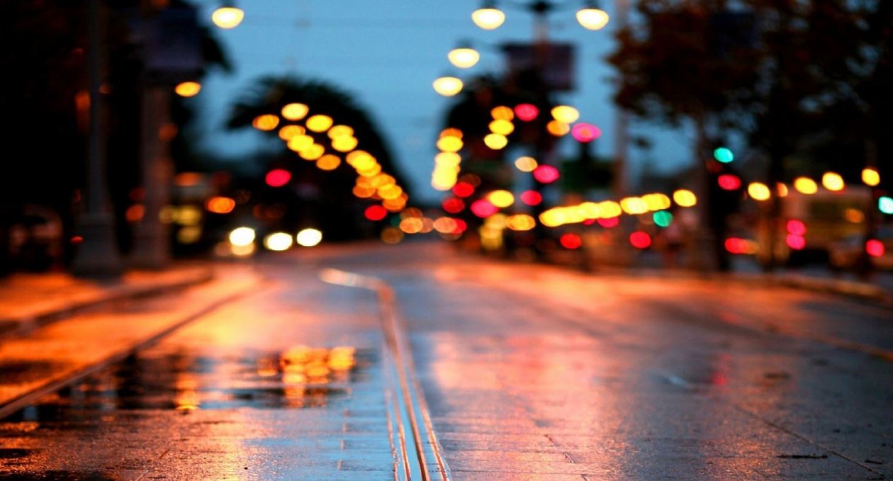 мои черничные ночи