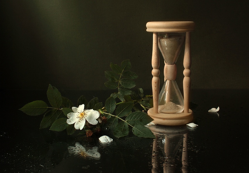 106. Прополка