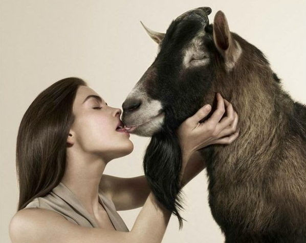 С любовью не поспоришь, не приручишь