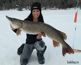 Рыбачить и бухачить