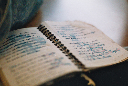 Тайная тетрадь