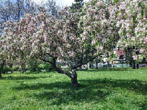 Когда меня не радует зима...
