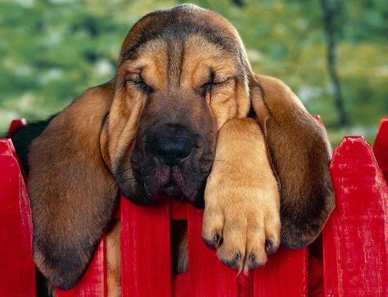 Не читаю гороскопы