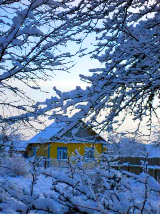 Ты за билых чы за красных?