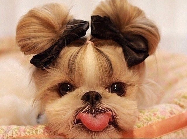 АКРО. С новым годом!!!