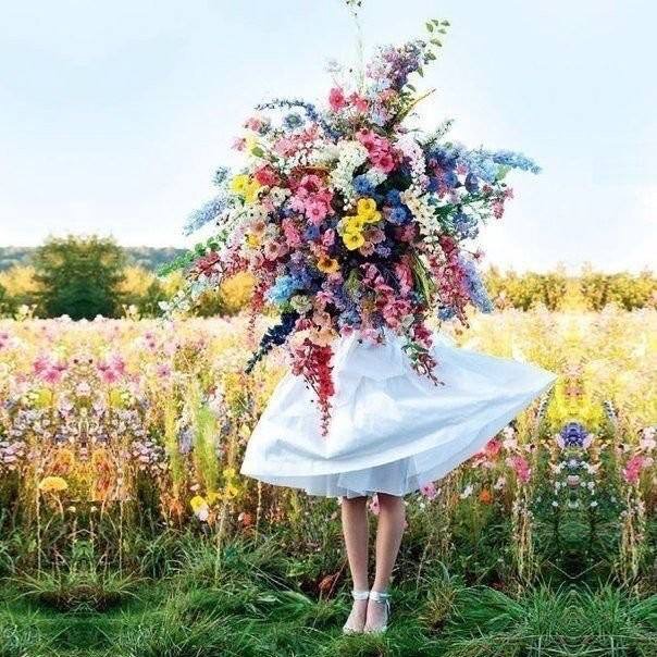 Любовь и Мечта