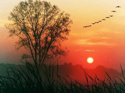 Как в первый раз