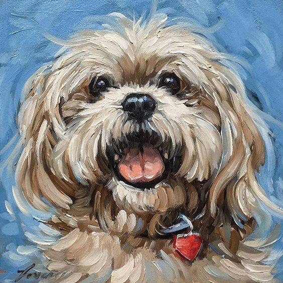 АКРО. Собака года