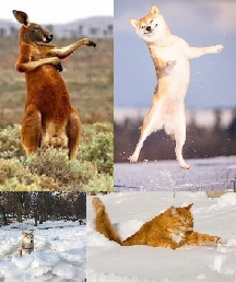 С Новым 2018!