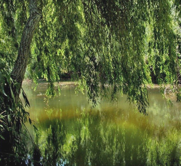 июнь уж скоро