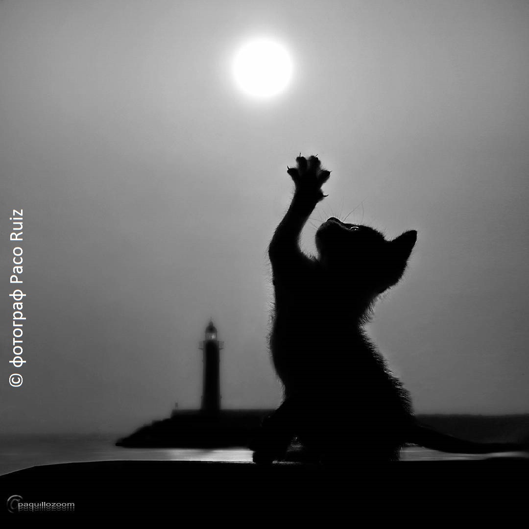 Час разлуки