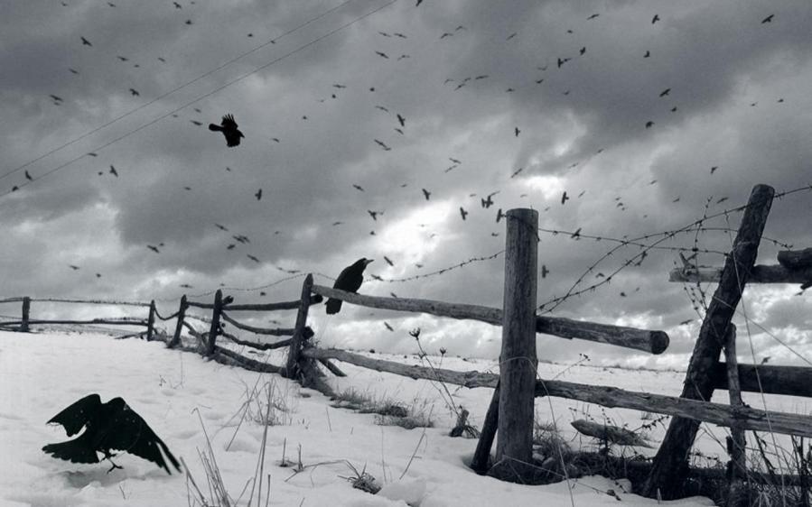 Одни вопросы декабрю...