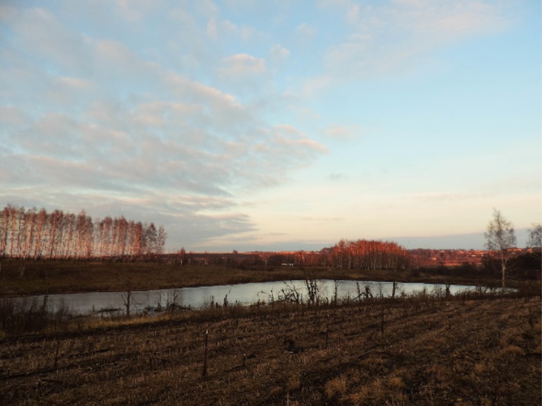 Я Блока вспомнил в этот миг