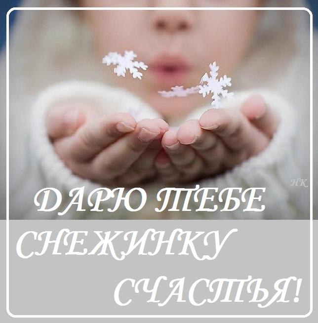 Мы в Новогоднюю ступаем Сказку (Ирина Куценко Першакова) / Стихи.ру