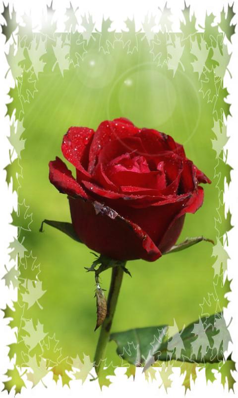 Теория относительности