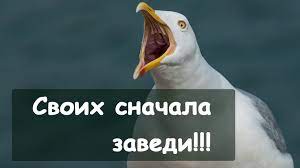 Ножик Монолог мамаши школьника