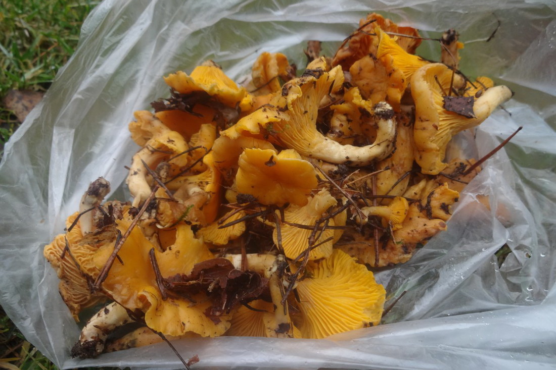 Новый год наступил...