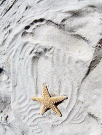 Уильям Карлос Уильямс. Прелюдия