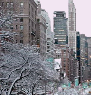 Уильям Карлос Уильямс. Победа