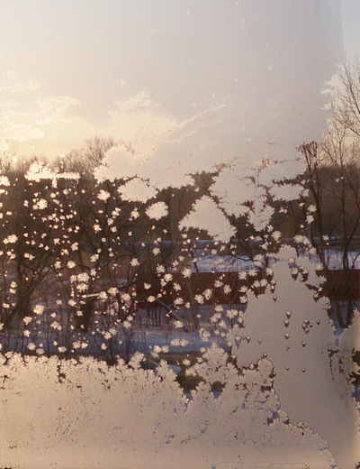 Радуга. Новогоднее