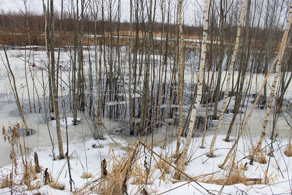 Свитер с оленями