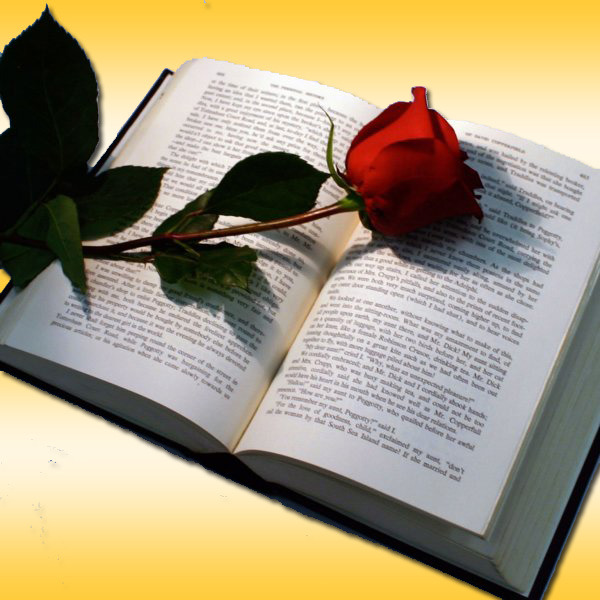 Моя литература!