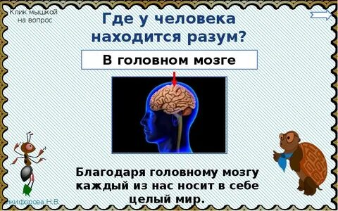 Разум