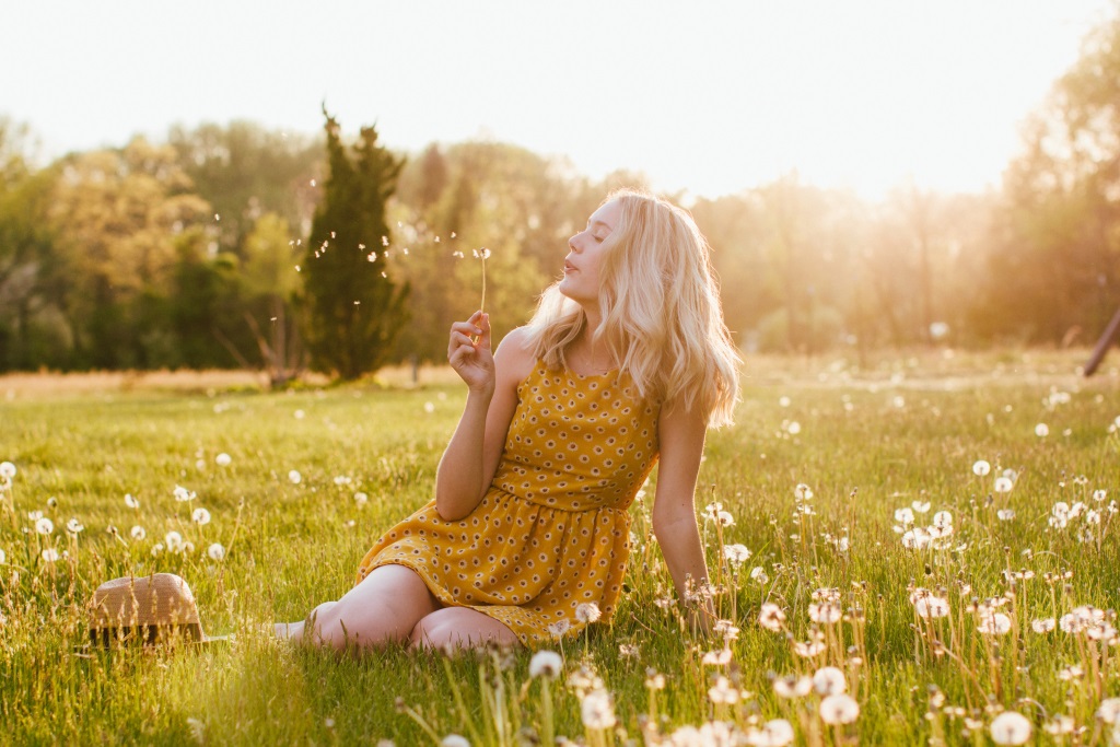 Одуванчики