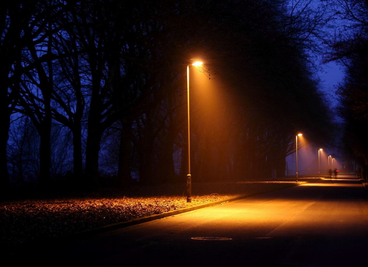 наблюдатели