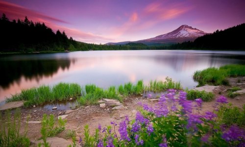 35 С добрым утром!