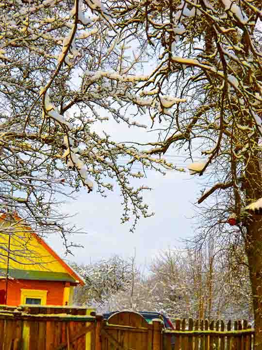 Вакханалий ныскок ны у дэнь даж святой