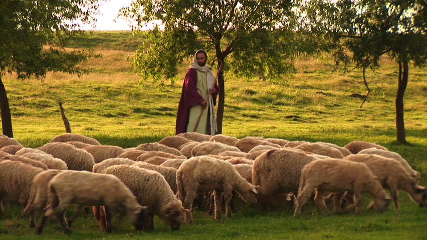 63. Пастухи